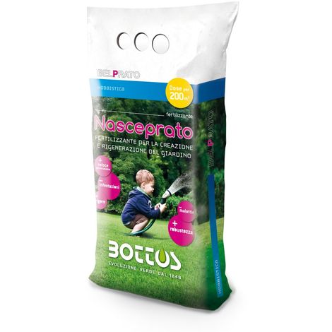 Semi di concimi verdi