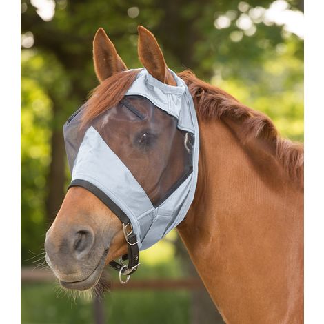 Black Set, Medium DAUERHAFT Protezioni Leggere per Gambe di Cavallo per tampone per Gambe di Cavallo Nere Black Set, Medium DAUERHAFT Protezioni Leggere per Gambe di Cavallo per tampone per Gambe di Cavallo Nere