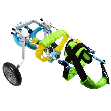 Accesorios para el coche para perro