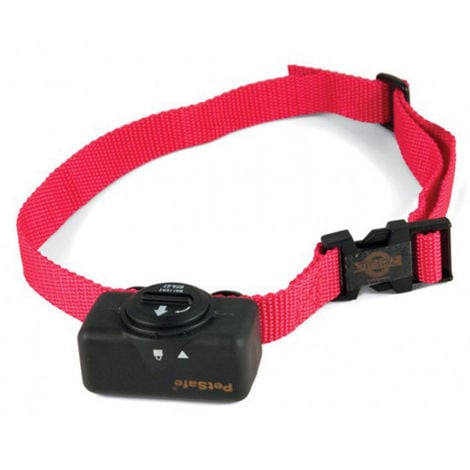 Safe shock collars for 2024 dogs