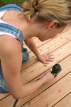 Jenny, Rédactrice spécialisée en construction et jardin, Var