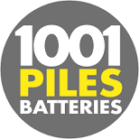 1001 PILES