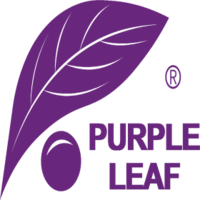 PURPLE LEAF