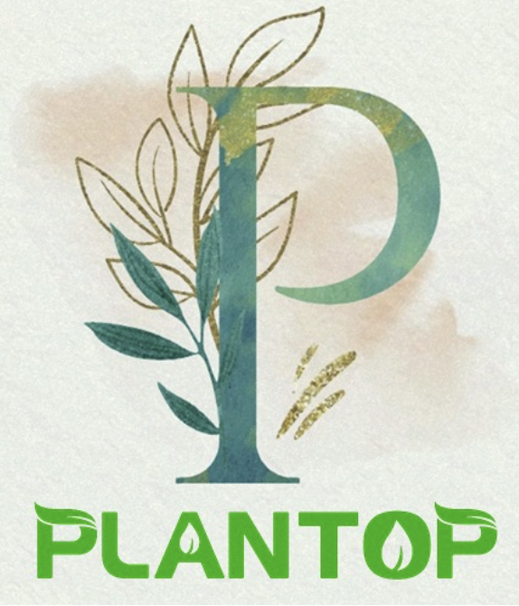 PLANTOP
