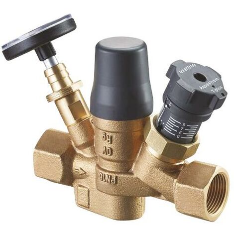 AQUASTROM T PLUS, DN15, 1/2 Fx1/2 Favec TETE ET THERMOMETRE (1/3)