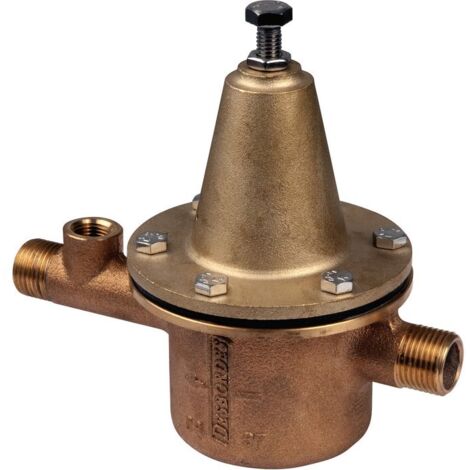 Détendeur mâle à ressort compatible 20/27 (1/2)