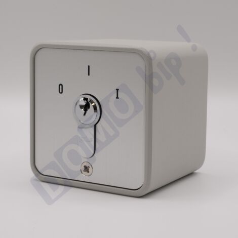 GEBA S APZ 1-1R/2 - Contacteur à clé MARCHE/ARRÊT en applique pour automatisme portail/garage - Retour automatique par ressort - 3 clés incluses - Réf : 009.1202.10