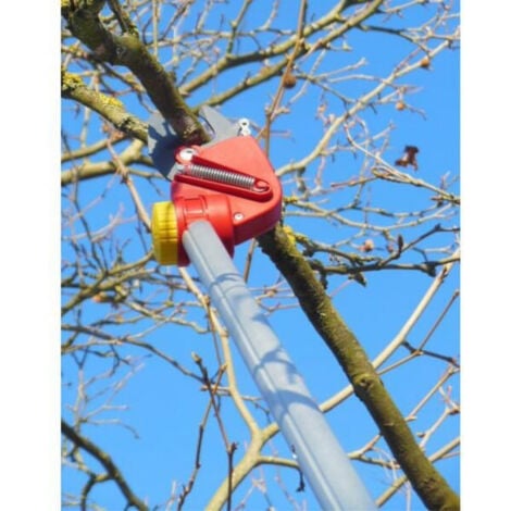 Perche élagueuse à coupe franche - POWERCUT - OS4000