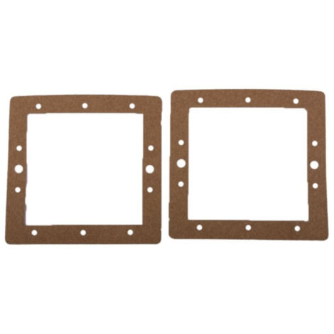 Lot de 2 joints de bride pour piscine - Petite meurtrière - Liège - SPX1094GPAK2 - Hayward (1/2)