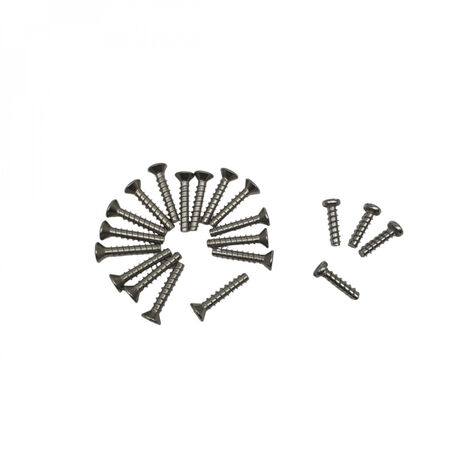 Lot de 20 vis pour face avant de bride de skimmer SP1085 de piscine - SPX1085Z1AM - Hayward