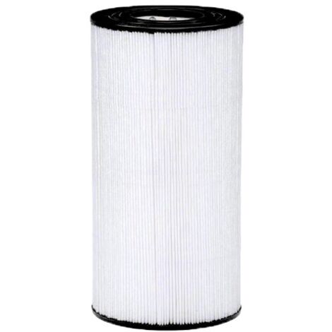 DPM SwimClear - Juego De 4 Filtros De Cartucho De