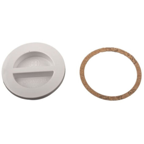 Hayward – Bouchon hivernage plat SP1022B – 1 pouce 1/2 – Filetage 33 mm – Matière ABS – Joint torique inclus pour étanchéité (1/4)