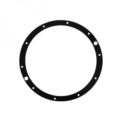 Hayward – Joint de bride pour projecteur de piscine – Compatible SP0512 Eurolite 300W – Diamètre extérieur 311 mm – Épaisseur 2 mm – Pièce d'origine