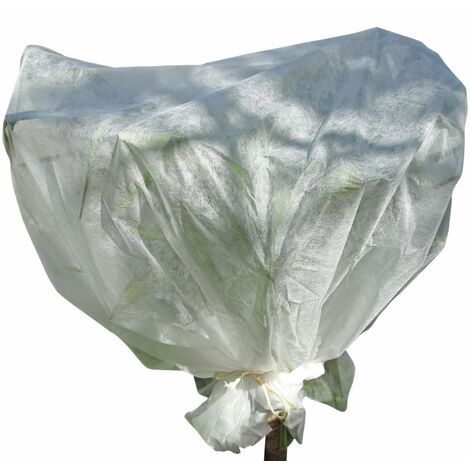 Voile d'hivernage pour plantes 2m x 5m 30g/m² - Blanc - Linxor (1/2)