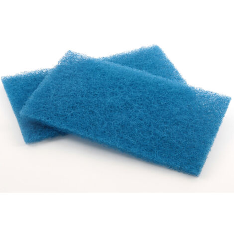 Pack de 2 filtres pour robot nettoyage de printemps - Bleu - RCX70103PAK2 - Hayward