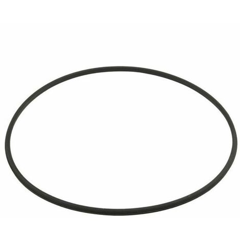 Hayward – Joint torique de corps de filtre – Métal renforcé noir – Étanchéité optimale pour filtre à diatomées – Modèle DEX2422Z2