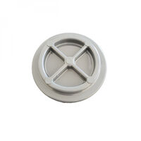Bouchon de cellule pour électrolyseur de piscine Saline C - Gris - BSX1CAP2 - Hayward