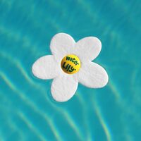 Boite de 6 fleurs absorbantes purificateur d'eau Water Lily - Blanc