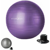 Ballon de yoga, fitness, gymnastique, grossesse en PVC antidérapant - Diam 65 cm - Violet - Vivezen