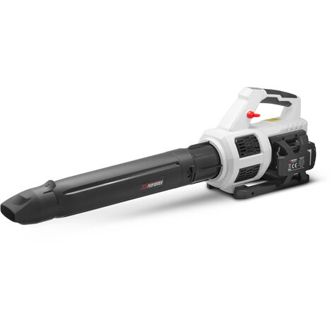 Souffleur rechargeable 2x20 V max avec fonction turbo livré sans batterie - X PERFORMER (1/7)