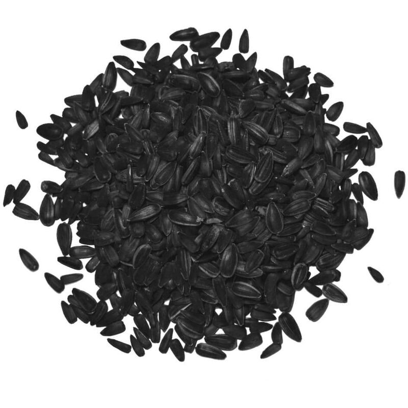 Graines de tournesol noires (12,5 kg) - Nourriture pour oiseaux