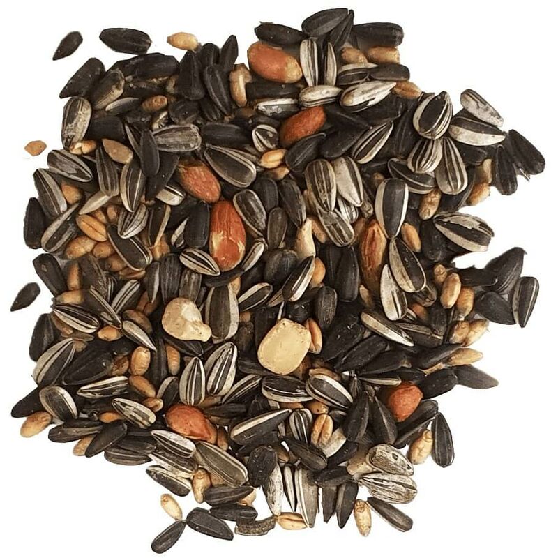 Graines De Tournesol Pour Les Oiseaux, Graines De Tournesol Pour Oiseaux