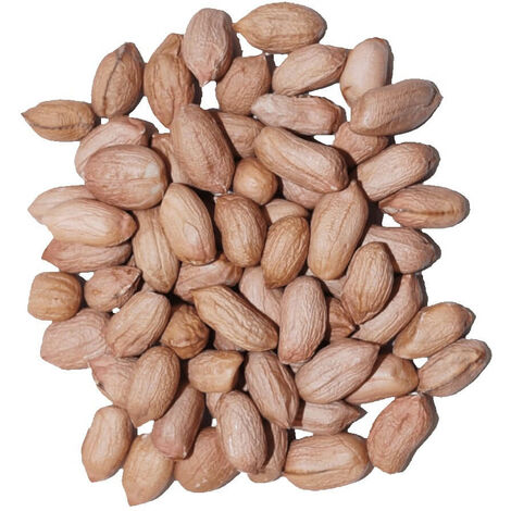 Agrarshop Arachide light skin 25 kg nourriture pour oiseaux hivernaux mésanges