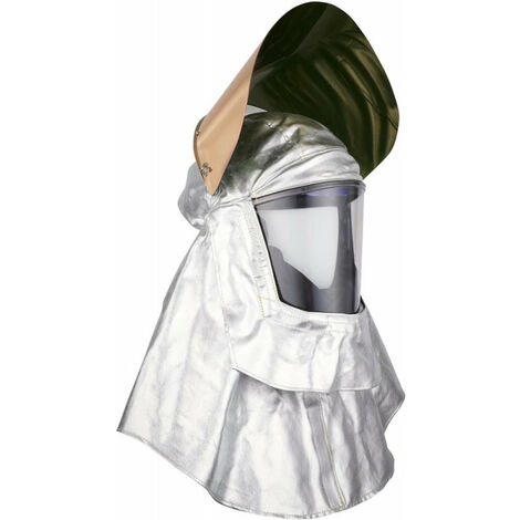 Testa per il casco M-307. Visor per PC. chiaro (1/2)