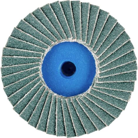 Combidisc®-Mini Polifan®, Ø 50 Mm Grana: 80 (1/4)