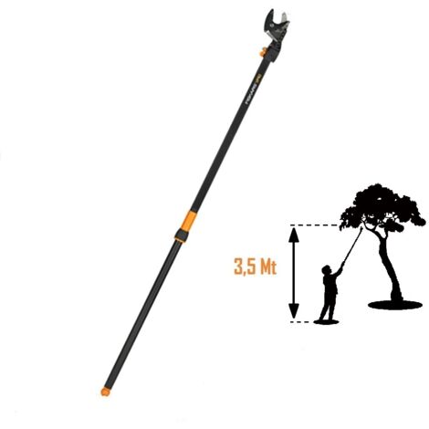 Lungo Raggio Secateur (1/2)