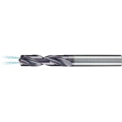 Foret 3Xd Unito Ha 3,9Tialn + Ik D6537Fortis (1/5)