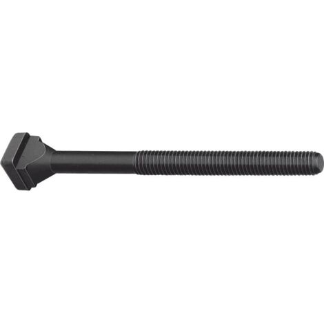 Vite cava a T (DIN 787) cava a T 20mm M20 L.200mm qualità 8.8 AMF (1/2)