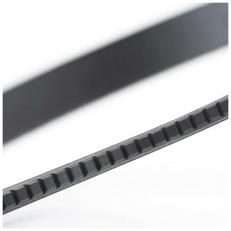 Cinghia trapezoidale BX 42 Dentata V Belt Pix 17x11x1065 dentellata