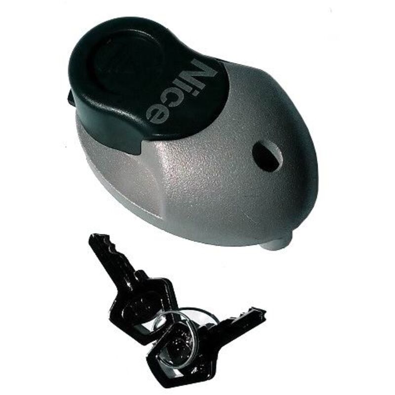 Clé De Déverrouillage Triangulaire Gris RAL7016 - Modèle PPD1244A.4540 - Parfaite Pour Divers Usages