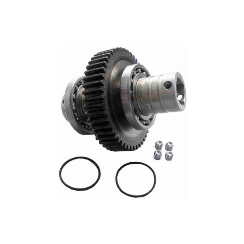 Engrenage à arbre lent - Remplacement du moteur Frog CAME 119RIA015