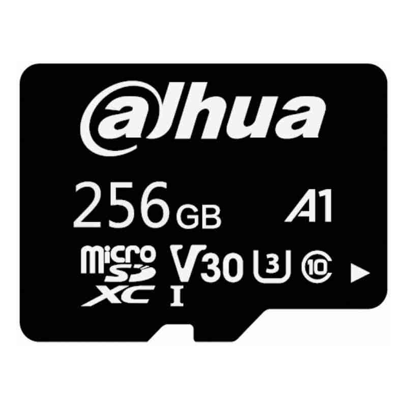 TFL100256GB Carte Micro SD 256 Go