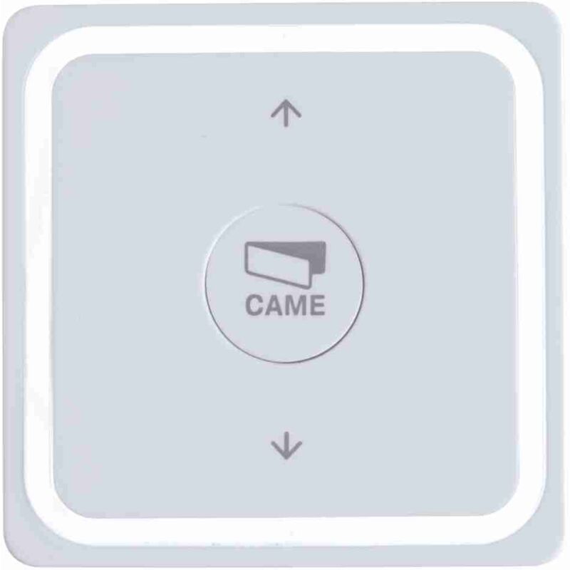 Télécommande Came 806TS-0300 - 2Canaux - 433,92 MHz