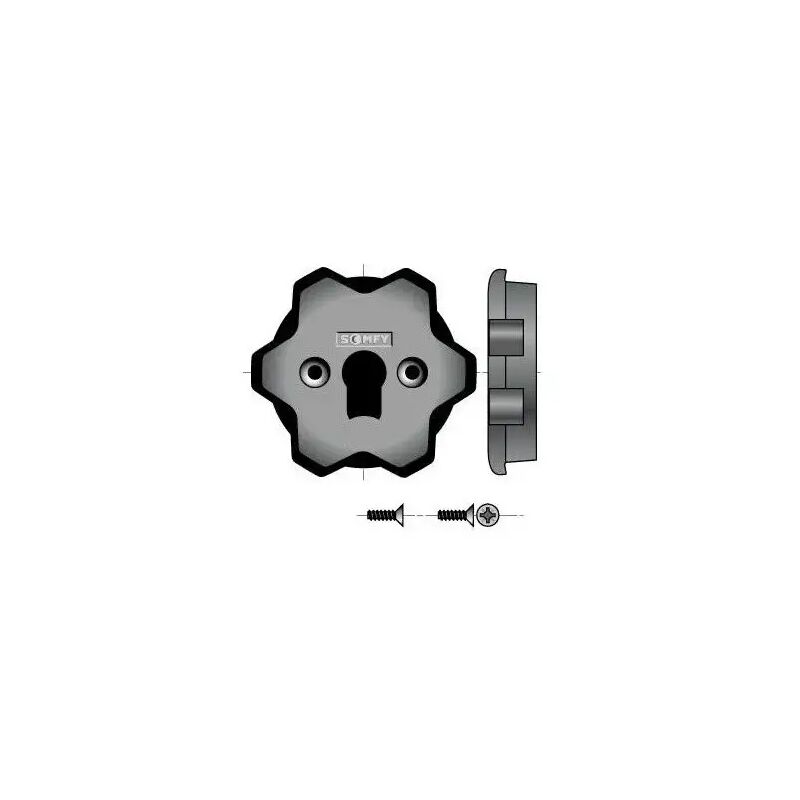 9500659 - Support pour Ls40/lt50 Somfy