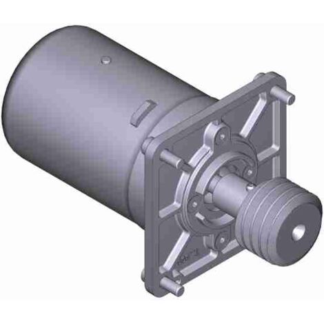 Groupe moteur électrique série Axo 230V remplacement lent CAME 88001-0142
