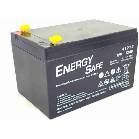Batterie au plomb AGM VRLA série Energy Safe 12V 12Ah C20 (F1)