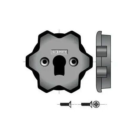 9500659 - Support pour Ls40/lt50 Somfy