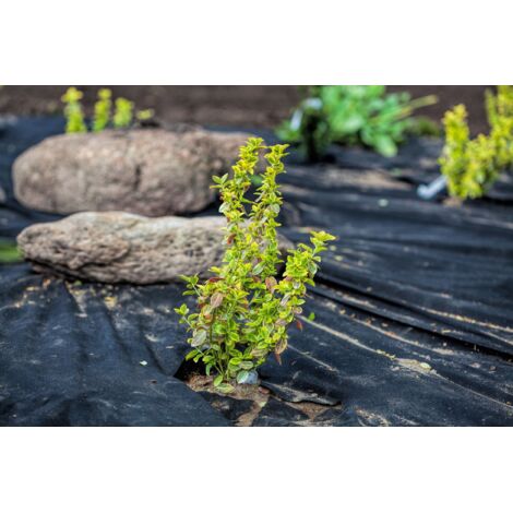 Agrimpex Agro-Marina Feutre De Paillage | Contre Les Mauvaises