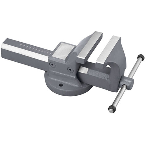 Tornillo de banco de acero de 100 mm Fervi 0135/100