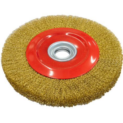 Cepillo circular para amoladora de banco 250x25x32 Holzmann dsm250db