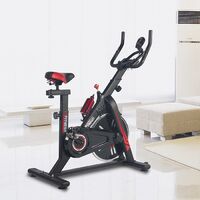 bodytrain spin bike