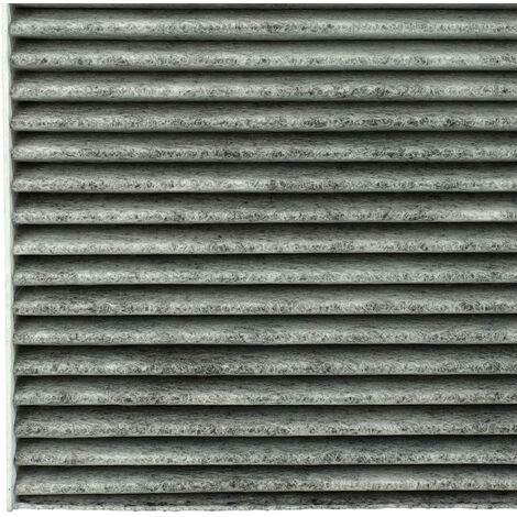 Borg & Beck BFC1052 – Filtro Abitacolo (Standard) – Altezza 25mm – Sostituzione Aria Per Auto