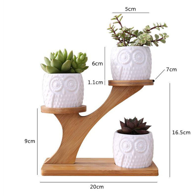 4 pezzi/Set di supporti per piante di bambù 1 Sopporto + 3 Vasi per  fioriere per piante grasse Vaso per bonsai