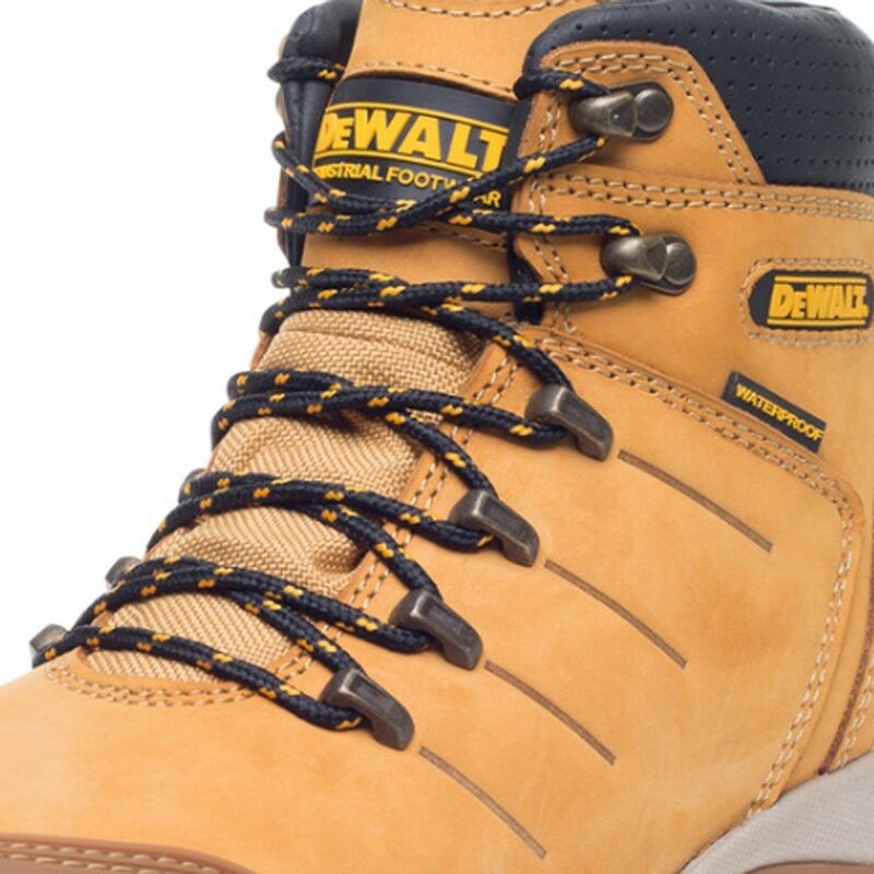 dewalt boot laces tan