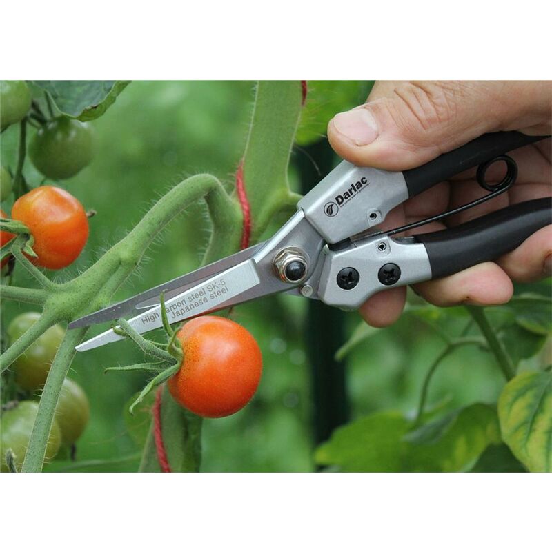 Darlac DP42 Compact Pruning Snips – Easy Grip, Lightweight Garden Pruners