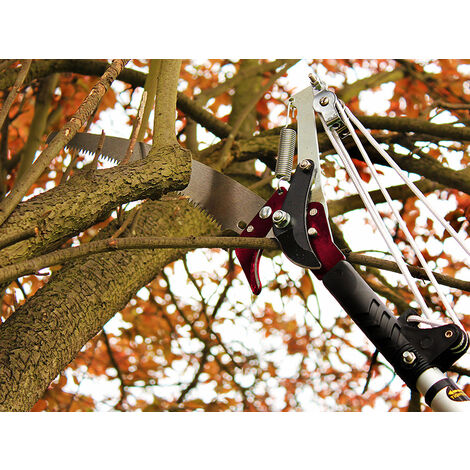 Kent & Stowe 70100496 Telescopic Tree Pruner Lopper Cutter 3m